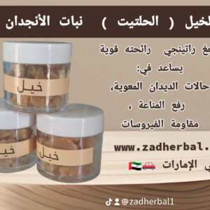 الخيل_الحلتيت _ نبات الأنجدان     Ferula Assa-foetida