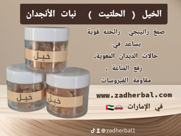 الخيل_الحلتيت _ نبات الأنجدان     Ferula Assa-foetida
