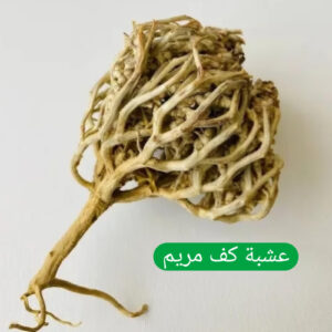 عشبة كف مريم   100غ    VITEX AGNUS CASTUS